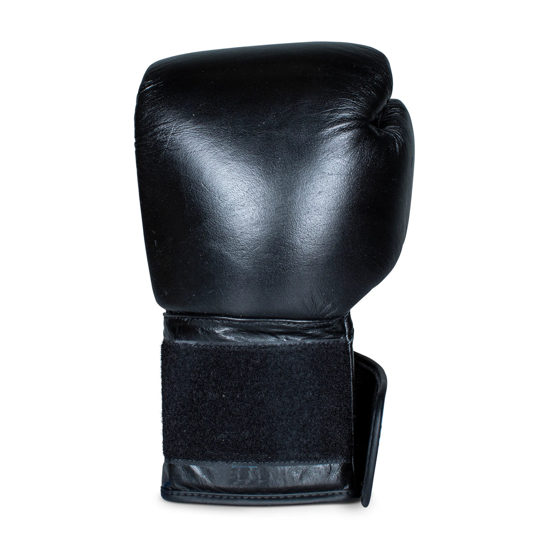 Aqua Training Bag® Classic Boxing Glove