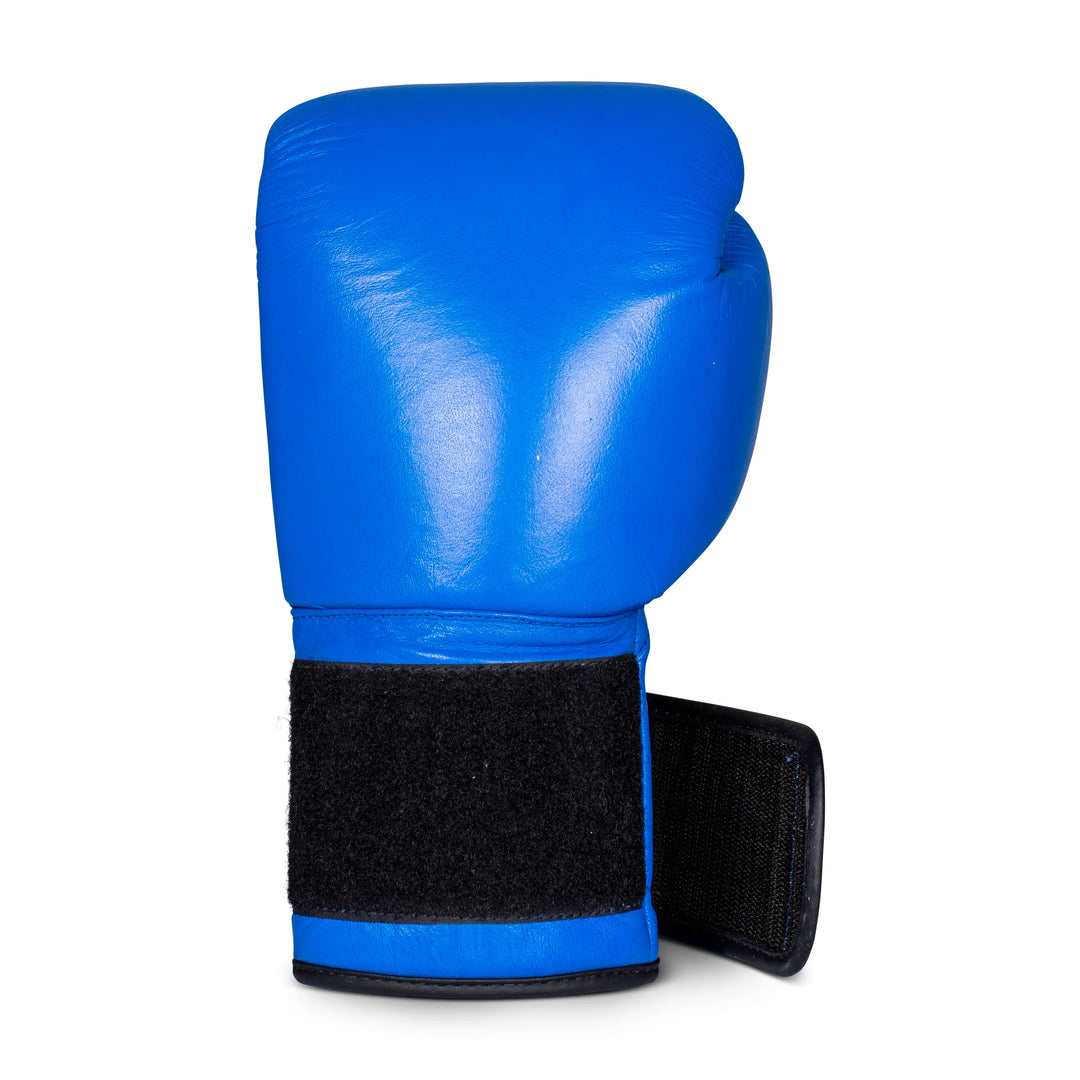 Aqua Training Bag® Classic Boxing Glove