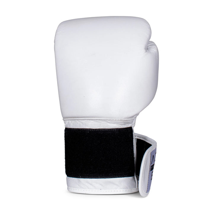 Aqua Training Bag® Classic Boxing Glove