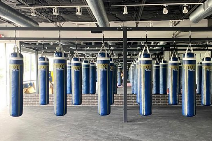 Custom Punching Bags